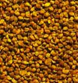 Millet japonais